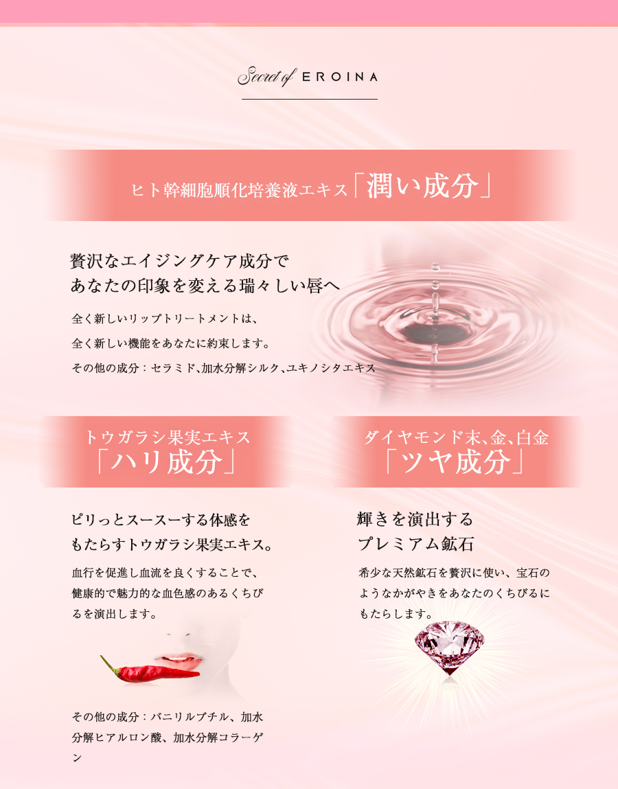 Secret of EROINA