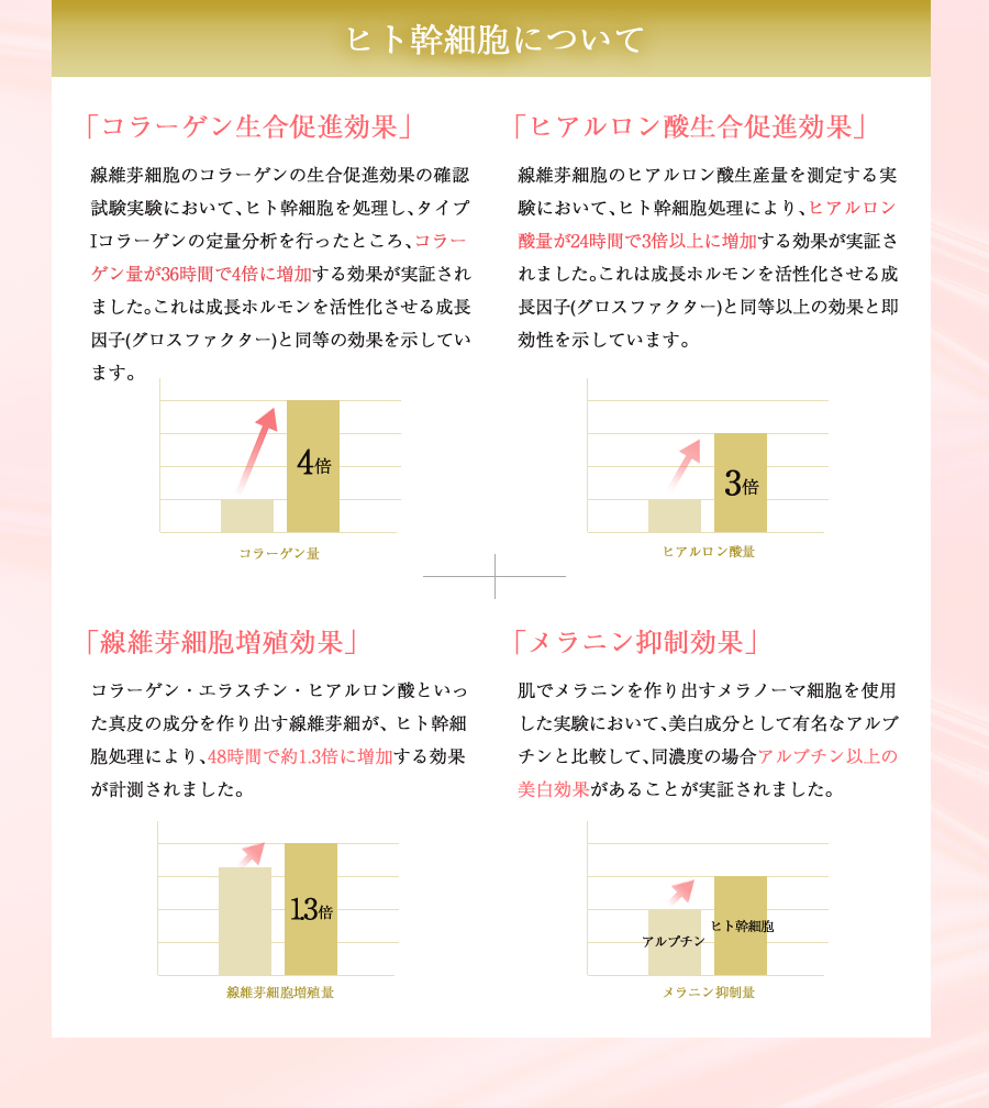 ヒト幹細胞について