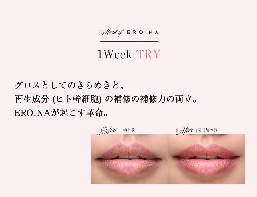 1Week TRY