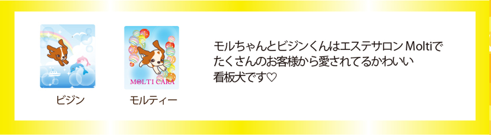 シールを集めてギフト券最大5000円分GET