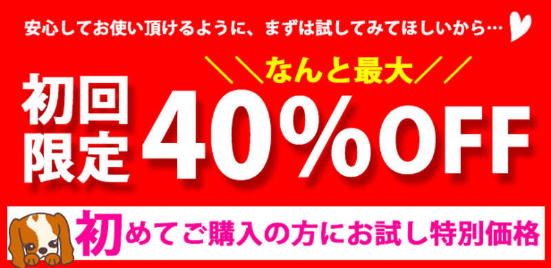 初回限定