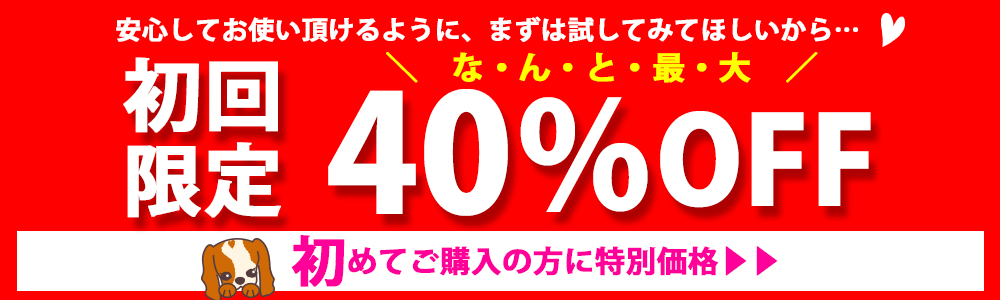 初回限定