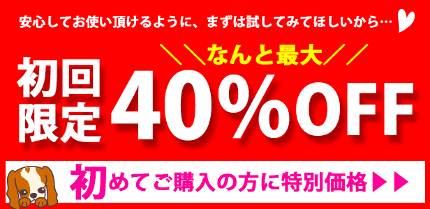 初回限定